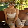 Swingers Andover